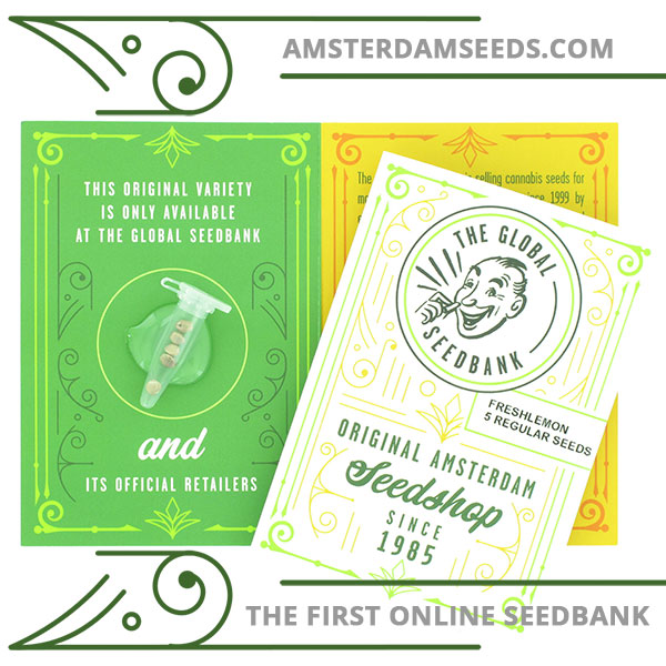 fresh lemon regular cannabis seeds amsterdam seedshop