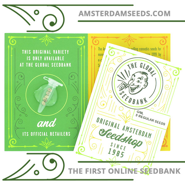 GNL Special regular cannabis seeds amsterdam seedshop