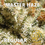 Master Haze Regular