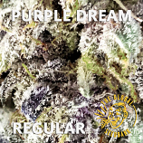 Purple Dream Regular