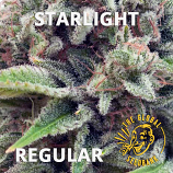 Starlight Regular