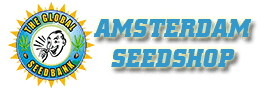 www.amsterdamseeds.com